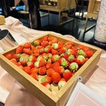 ヒルトン横浜 - 