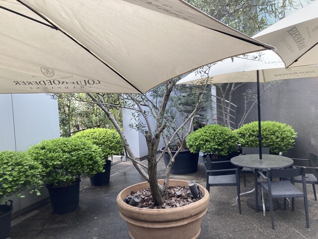 Wine Shop Enoteca Hiroo Honten photo 5