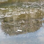 プレマルシェ・ジェラテリア - 