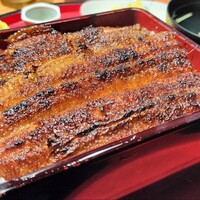 炭焼うな富士 名駅店 -  炭焼うな富士 名駅店 -