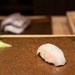 寿司つばさ - コウイカ