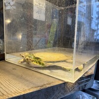 本等鮨 海馬 本店 - 