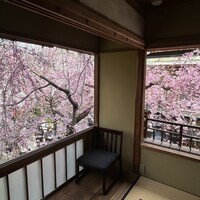 祇園 椿 - 