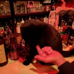 Bar ruminary - かわいいヨ！