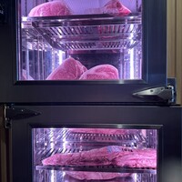 ニュー松坂 六本木店 - 