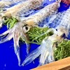 お魚処 玄海