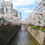 中目黒 グリル - 2025年の目黒川の桜