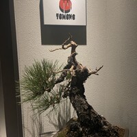 TOMONO - 