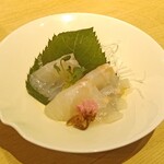 すし酒場 握わい - 真鯛の桜〆
