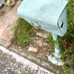 みずいろの花 - 