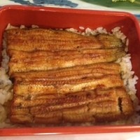 割烹 蒲焼 大沼 - 