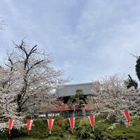 鰻割烹 伊豆栄 本店 - 