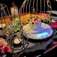 渋谷 Blue bird - 