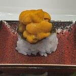 ヤマガタ0035 アル・ケッチァーノ コンチェルト - 