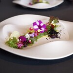 プレゼンテ スギ - 