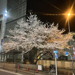 BAR レモンハート - 夜桜　店前