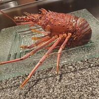 鉄板ダイニング 藤彩 - 