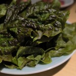 雪月花 たなかさとる - サンチュ