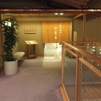 山茶花 - 
