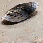 すしやのたい悟 - 小肌さんでーす。