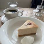 喫茶tton - 真っ白なカーテン越しに、やわらかな光を受ける珠玉の桜チーズケーキです