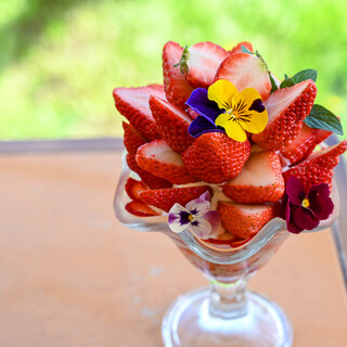 イタリアンカフェぶどうの森_1