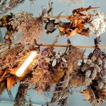 山羊コーヒー - たくさんのドライフラワー（店内の天井）