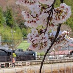 関所食堂 - 横川駅近くの桜