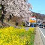 関所食堂 - 横川駅近くの桜