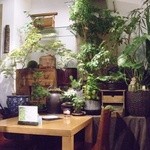 flower&cafe 風花 - 