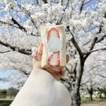 カメイサンのカフェ - 