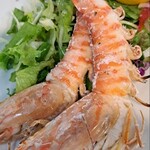 ひろしま丸かじり 中ちゃん - 