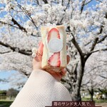 カメイサンのカフェ - 