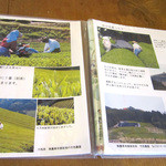 竹西農園 遊茶庵 - 栽培についてetcいろんなお話しが聞けます。