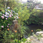 竹西農園 遊茶庵 - お花と池も見せていただきました
