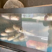 カニとフグの専門店 福島かにふぐ家 - 