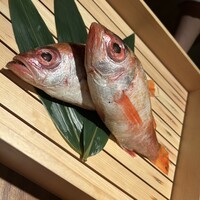 のどぐろ専門 銀座中俣 極 - 