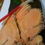 旬彩鈴吉 - ウチワエビの塩ゆでです。