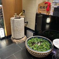 松阪牛 よし田 - 
