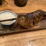 夜ノ焼魚 ちょーちょむすび - 