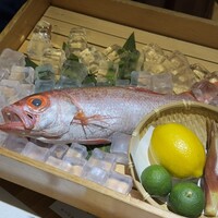 のどぐろ専門 銀座 中俣 - 