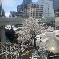 てんぷら天松 日本橋店 - 