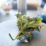 プレゼンテ スギ - 