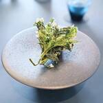 プレゼンテ スギ - 