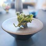 プレゼンテ スギ - 