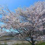 プレゼンテ スギ - 