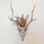 プレゼンテ スギ - 