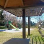 プレゼンテ スギ - 