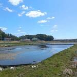 プレゼンテ スギ - 