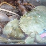 Peony Jade  - 水槽の中には甲殻類がいっぱい！これスリランカ蟹。